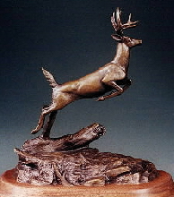 Bronze Sculptures of Wildlife